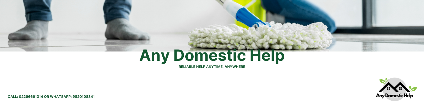 Any Domestic Help Header